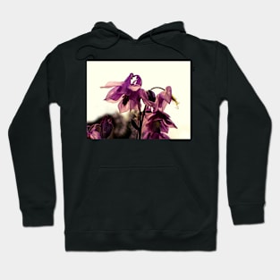 Violet Columbine Hoodie